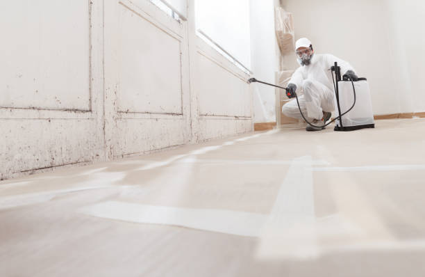 24/7 Emergency Black Mold Remediation experts in Newton, MA