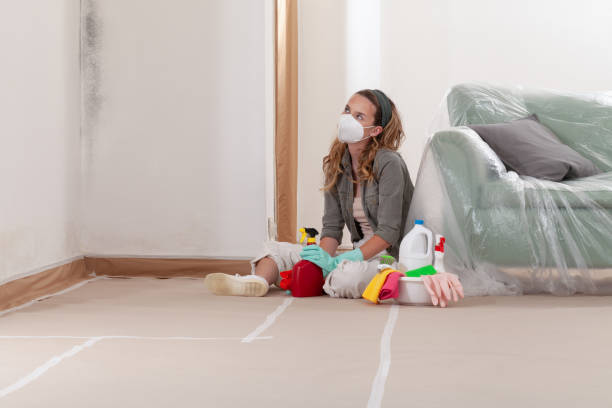 Reliable Black Mold Remediation contractor in Newton, MA by Car Mold Remediation
